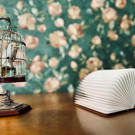 Harry Potter * 말메디