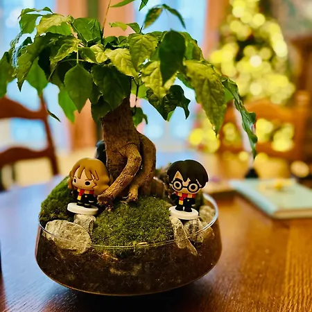 Harry Potter 아파트 말메디